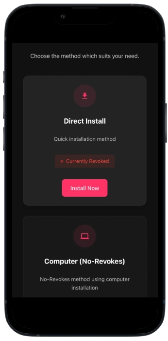 Installation Prompt Screenshot